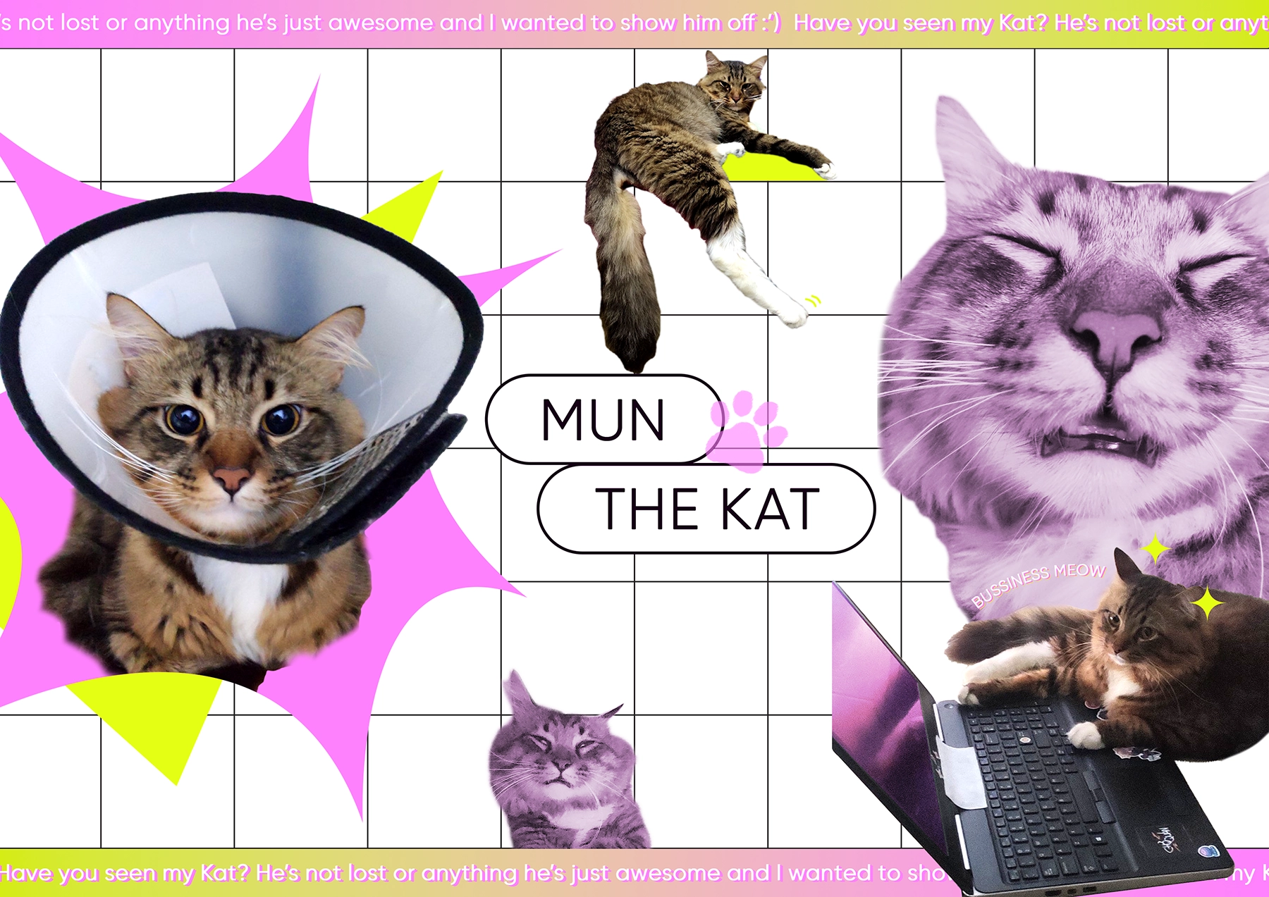 LOSTCAT Poster